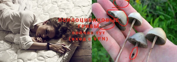 скорость Липки