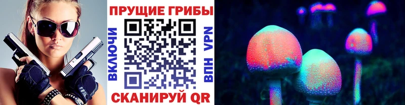 Купить закладки  Бабаево  Псилоцибиновые грибы MAGIC MUSHROOMS 